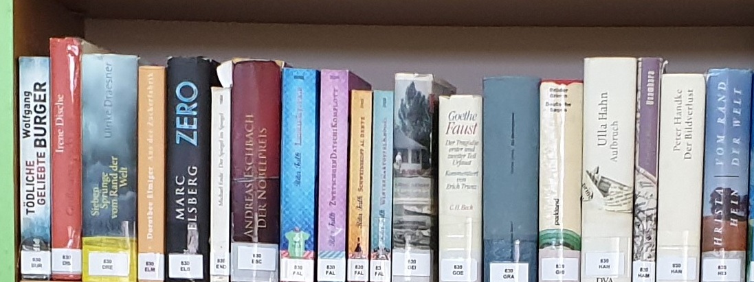 Goethe Institute Namibia – Library Selection
