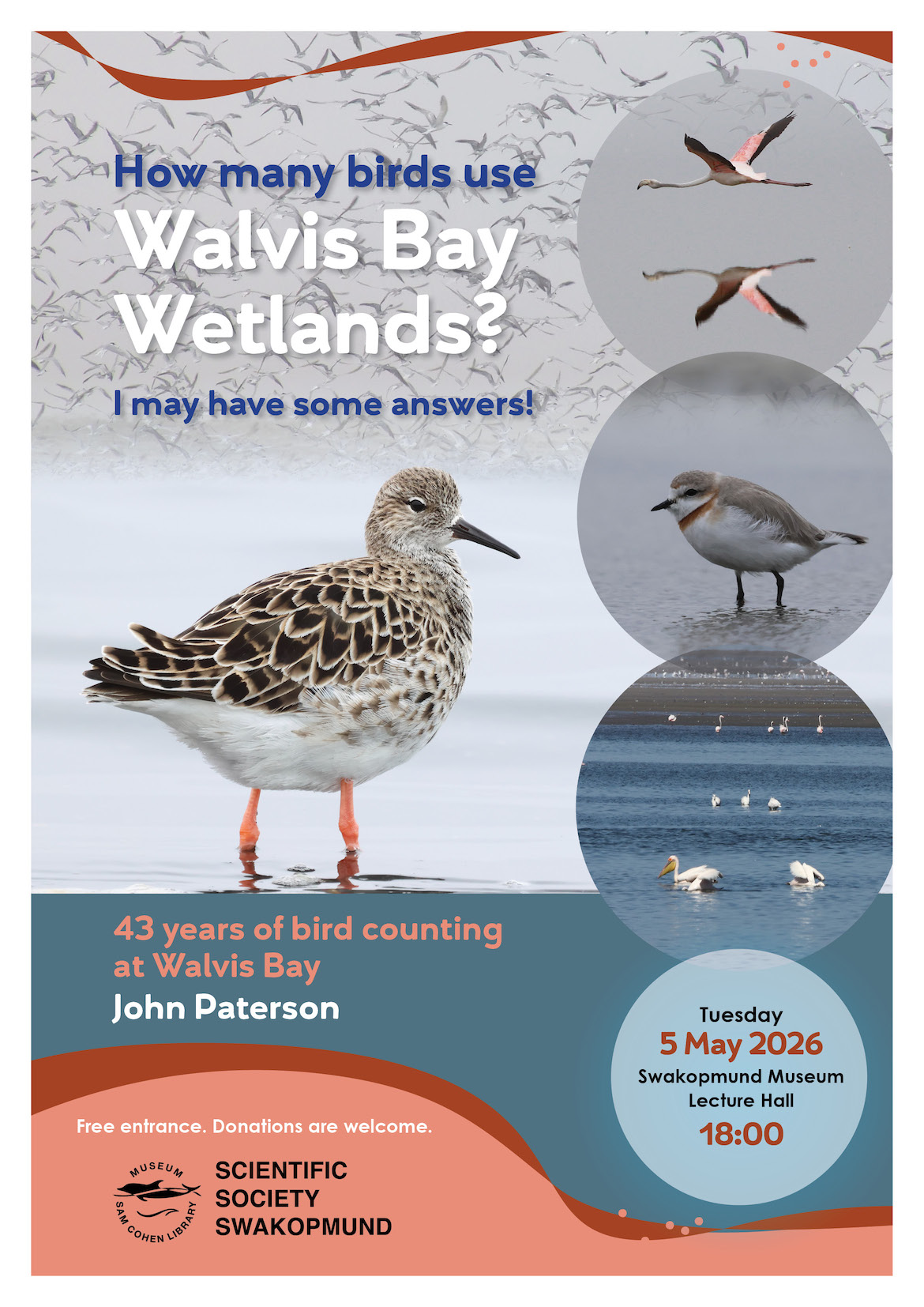 How many birds use Walvis Bay Wetlands?