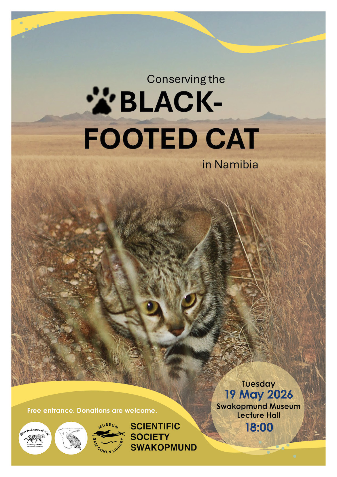 Conserving the black-footed cat in Namibia