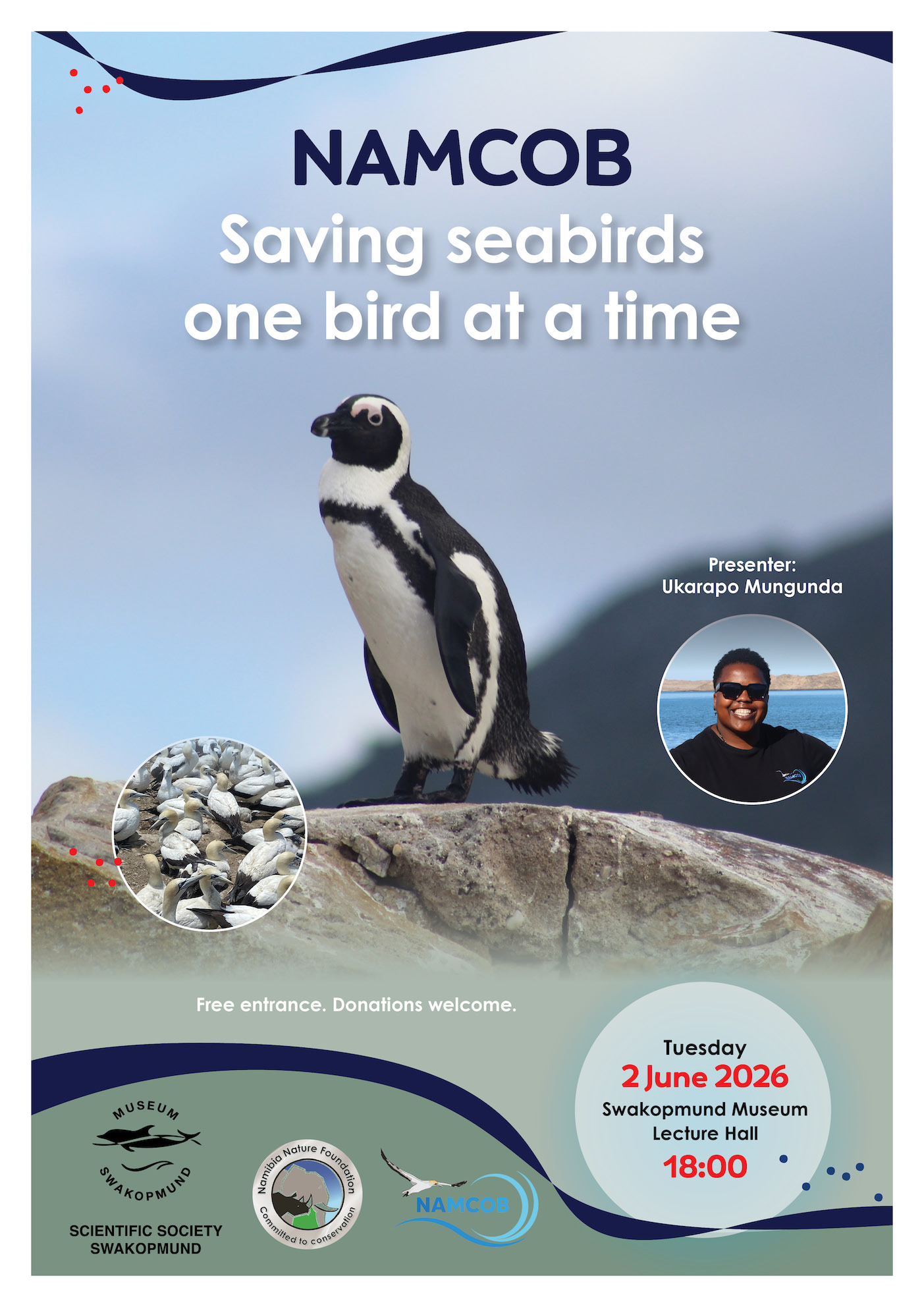 Saving seabirds one at a time