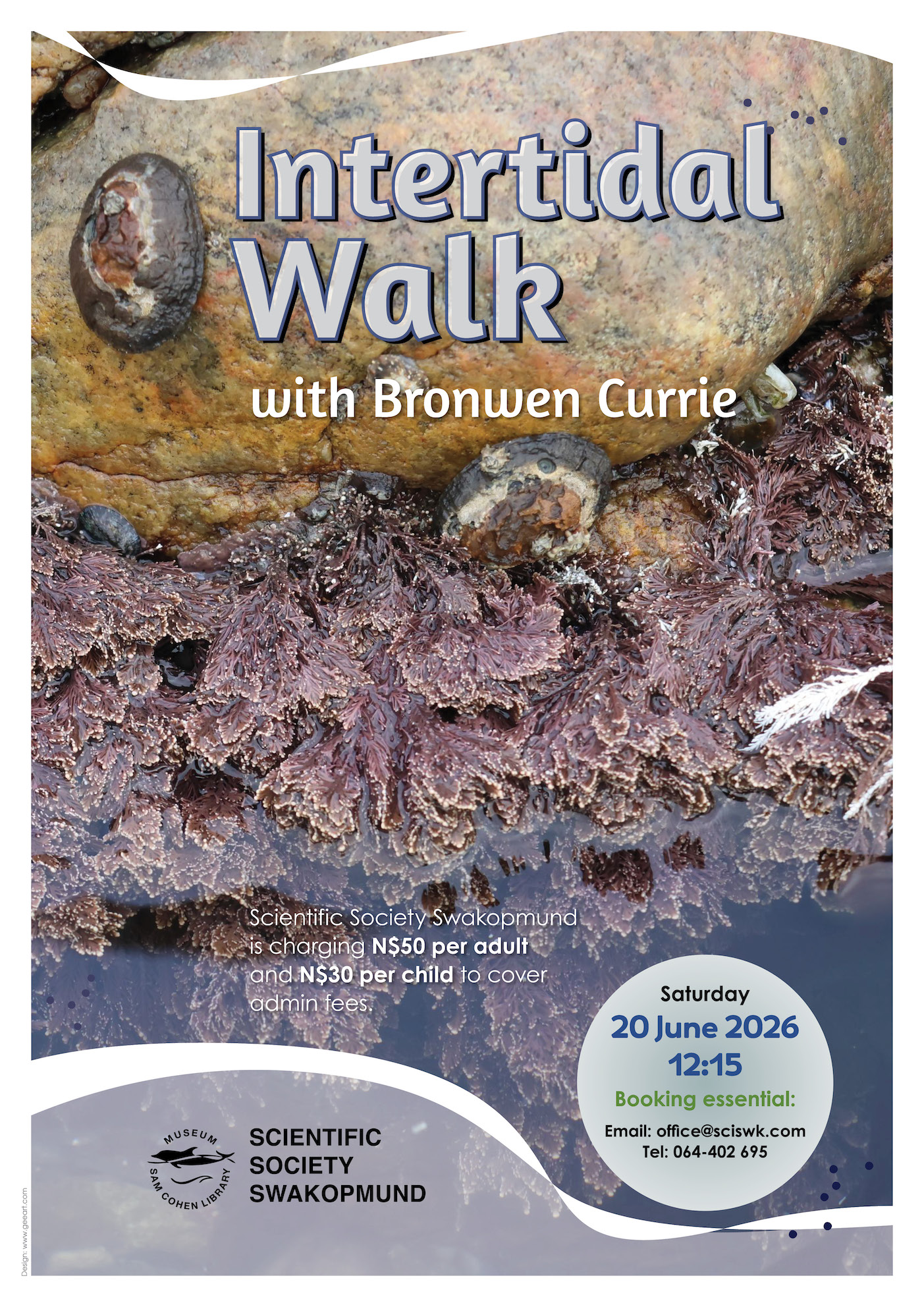 Intertidal Walk