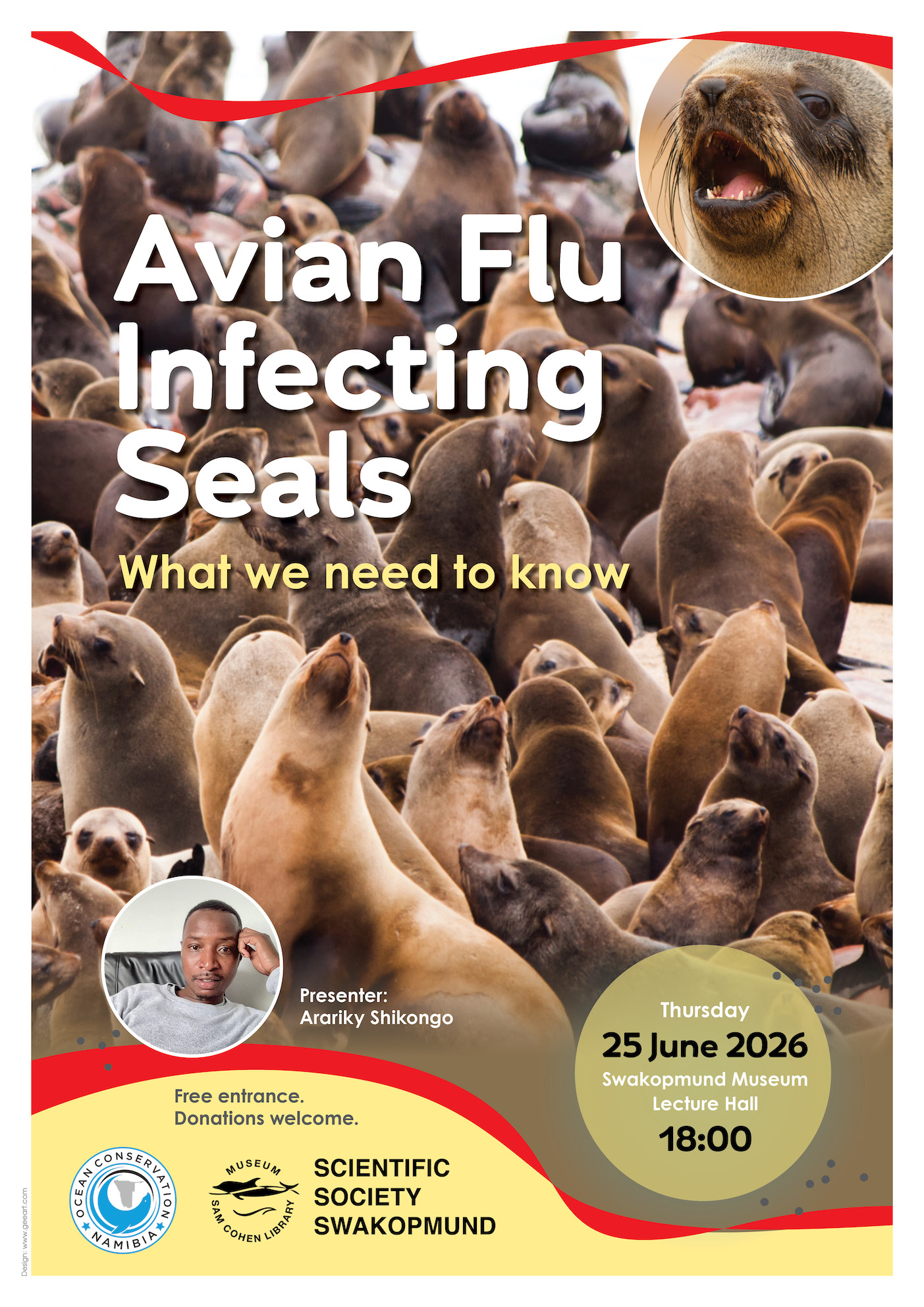 Avian Flu Infecting Seals - What we need to know