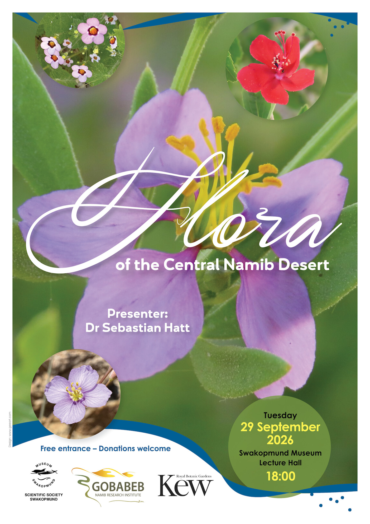 Flora in the Central Namib Desert